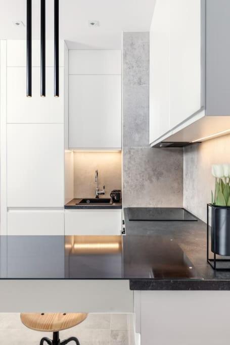 Deluxe Apartment In City Center, Steam Park Краків Екстер'єр фото